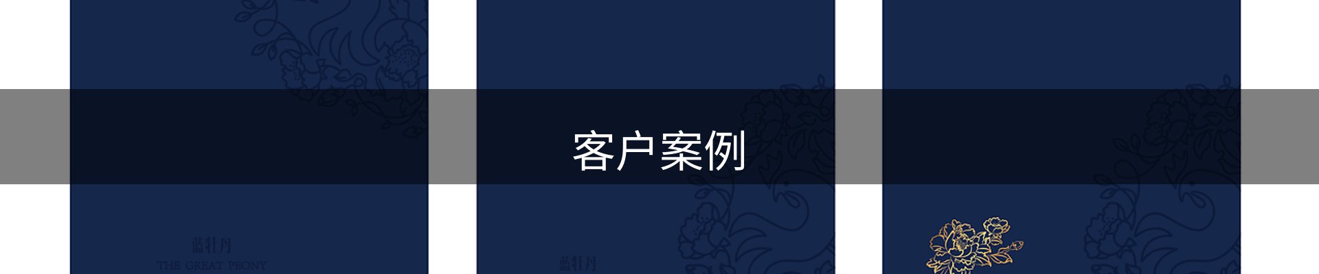 客户案例